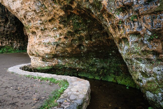 Private Full-Day Hiking Tour in Sigulda and Gauja National Park - A picnic break instead of a restaurant lunch