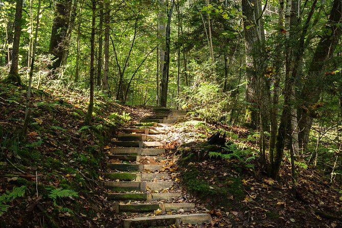 Private Full-Day Hiking Tour in Sigulda and Gauja National Park - What the private guide adds