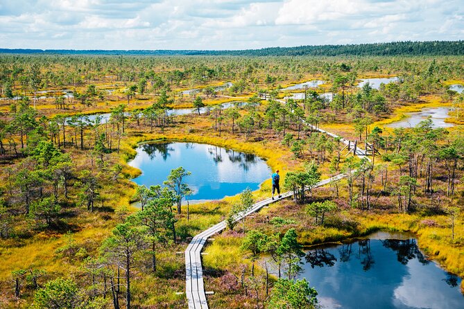 Private Full-Day Trip to Jurmala and Great Kemeri Bog Boardwalk - Why this Riga day trip works