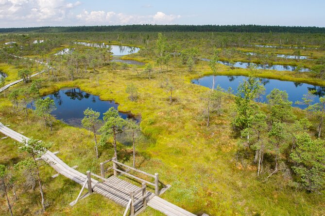 Private Full-Day Trip to Jurmala and Great Kemeri Bog Boardwalk - Who will get the most from this outing