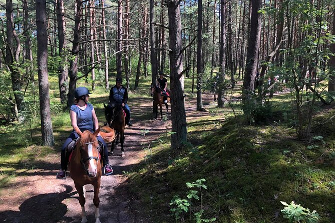 Private Horse Riding on the Beach in Riga - Is $150.63 a Fair Price for One Hour?