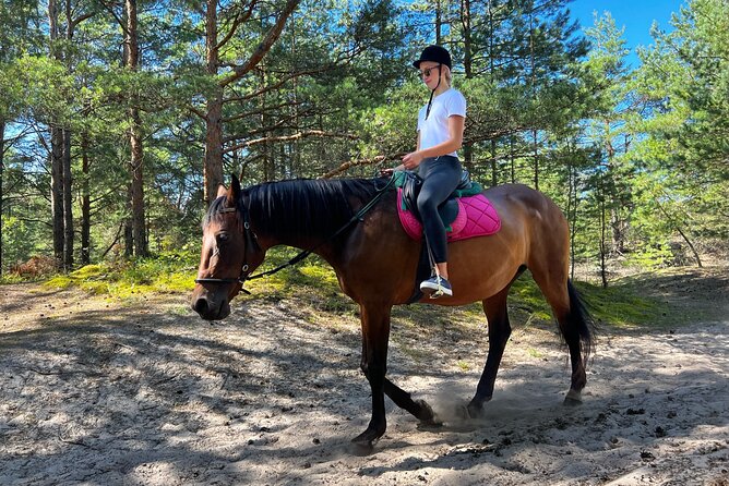 Private Horse Riding on the Beach in Riga - Weather, Timing, and What to Know Before Booking