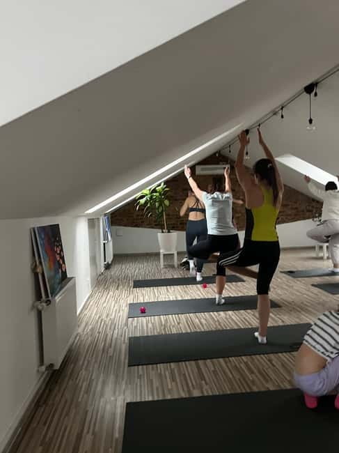 Puppy Yoga in Riga - Inside the One-Hour Class