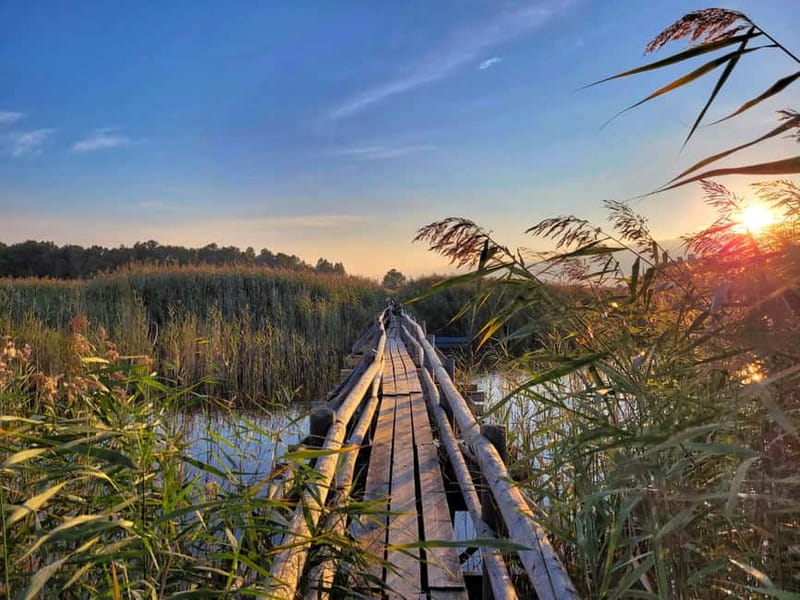 Riga: Best of Kemeri National Park In One Day - Key points at a glance