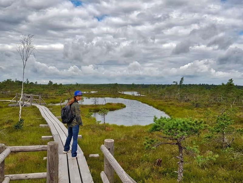 Riga: Best of Kemeri National Park In One Day - Who should book this day trip?