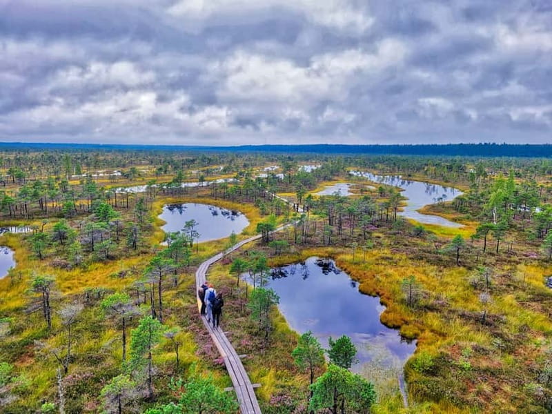Riga: Best of Kemeri National Park In One Day - Why this is one of Riga’s best nature outings