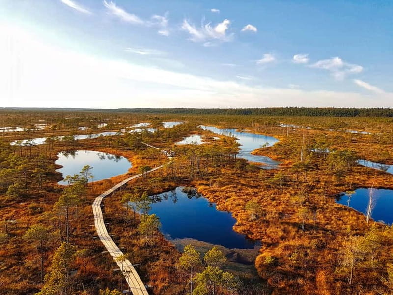 Riga: Best of Kemeri National Park In One Day - Lake Kaņieris and its bird tower