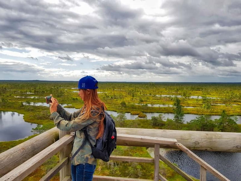Riga: Best of Kemeri National Park In One Day - Ragaciems and the Gulf of Riga shore