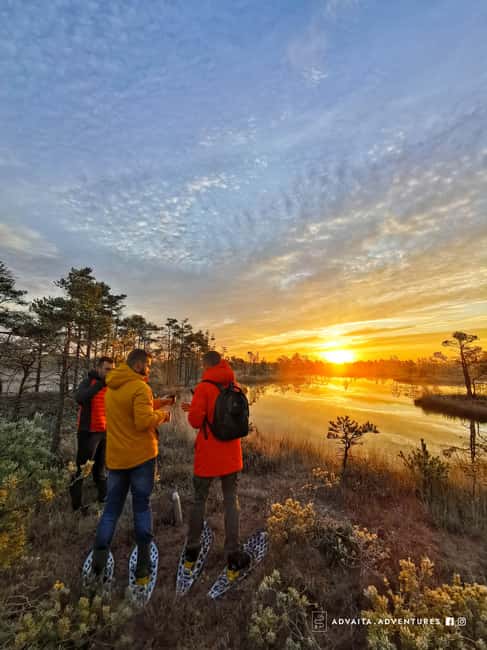 Riga: Bog-Shoe Tour in Ķemeri National Park - Quick take: what makes this bog walk special