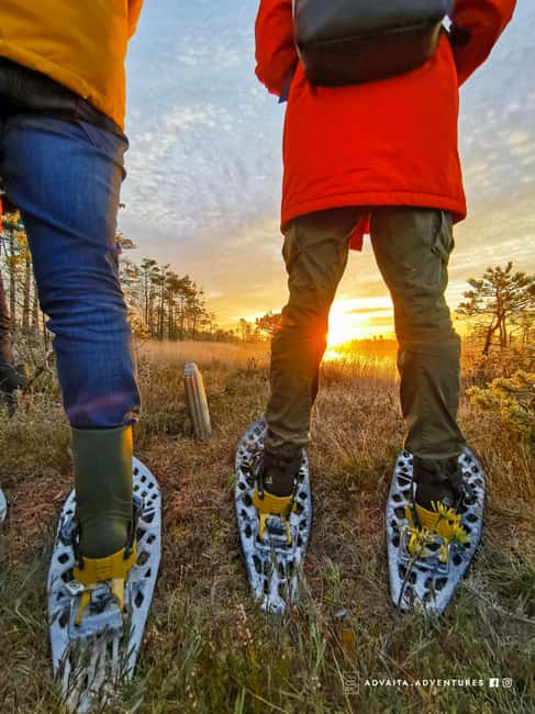 Riga: Bog-Shoe Tour in Ķemeri National Park - From Riga to the peatlands: the 50-minute van ride