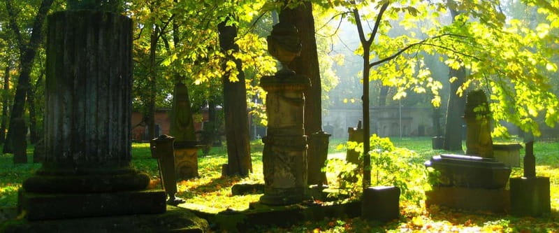 Riga Explorer Bike Tour - Key points to know before you ride