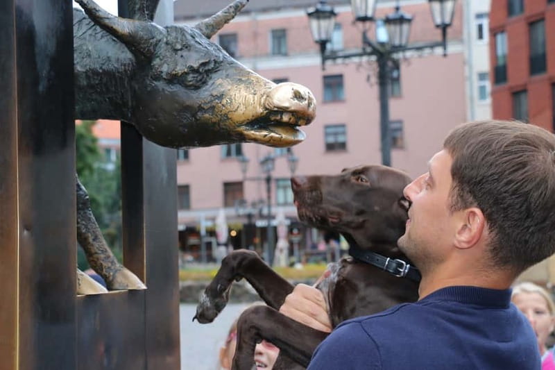 Riga: Guided Old Town Walking Tour - Key points to know before you book