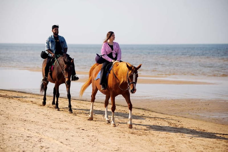Riga Horse Riding tour along the Beach - Walking through pine forest and sand dunes
