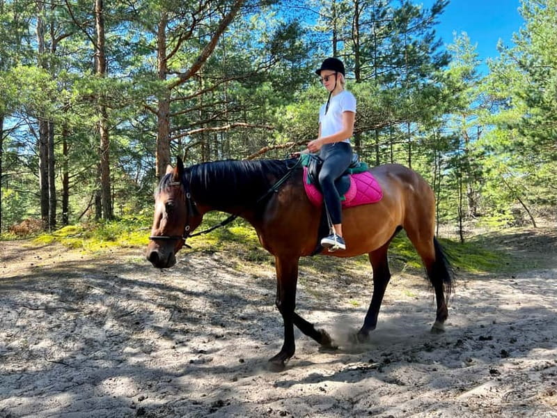 Riga Horse Riding tour along the Beach - Is $147 a fair price?
