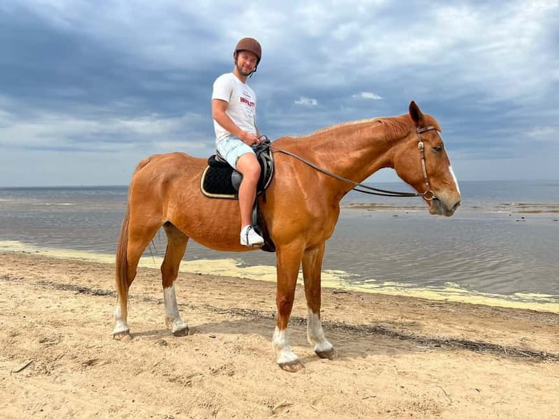Riga Horse Riding tour along the Beach - Meeting the horses before the ride
