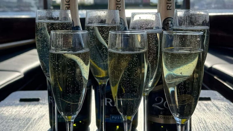 Riga: Private Boat Tour with Sparkling Wine - Kronvalda Park and the first stretch of the canal