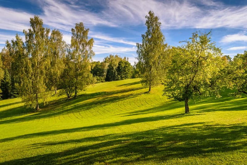 Sigulda Day Tour - Castle Ruins, Gūtmaņala Grotto, & More - Guides make the private format worth considering