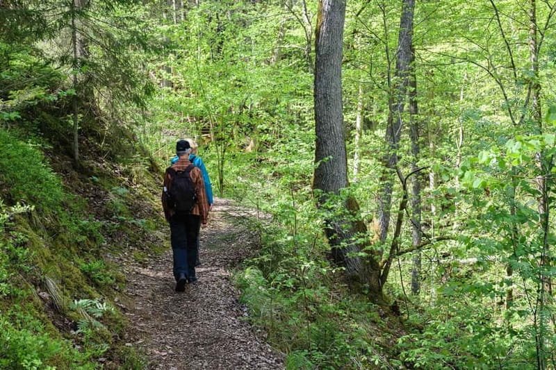 Sigulda Hiking Tour: A Day in the Switzerland of Latvia - Why Sigulda is called the Switzerland of Latvia