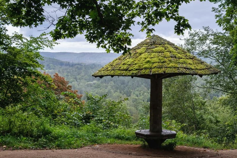 Sigulda Hiking Tour: A Day in the Switzerland of Latvia - Walking through Sigulda’s castle remains