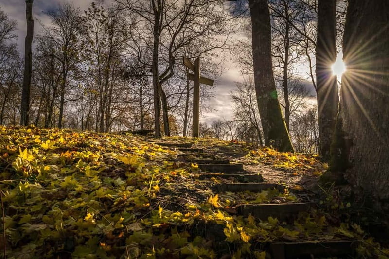 Sigulda Hiking Tour: A Day in the Switzerland of Latvia - Goodman’s Cave and its old inscriptions