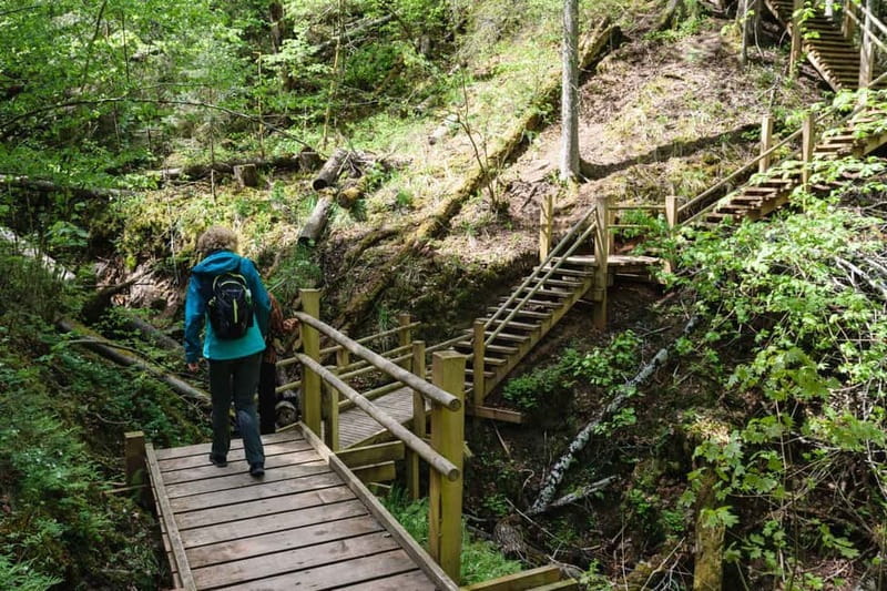 Sigulda Hiking Tour: A Day in the Switzerland of Latvia - Starting from Riga with private transport