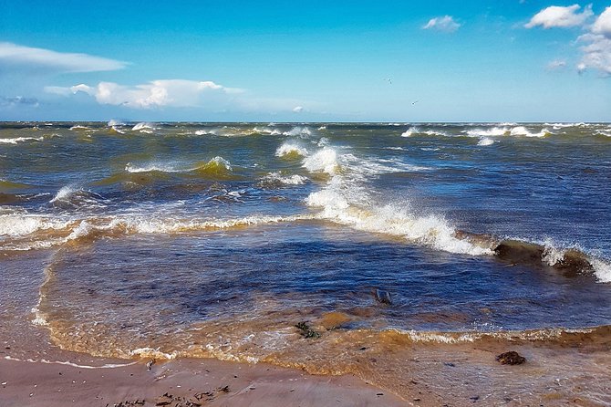 Slitere National Park Latvian Nature Hiking Tour from Riga - Is $289.20 good value?