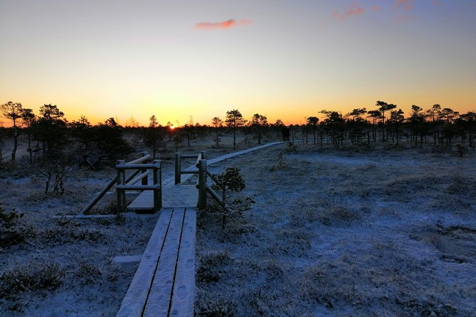 Sunrise at Kemeri National park + Jurmala - Key points to know before booking