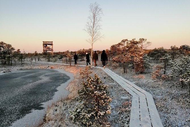 Sunrise at Kemeri National park + Jurmala - Walking the 1.4 or 3.4-kilometer Kemeri route