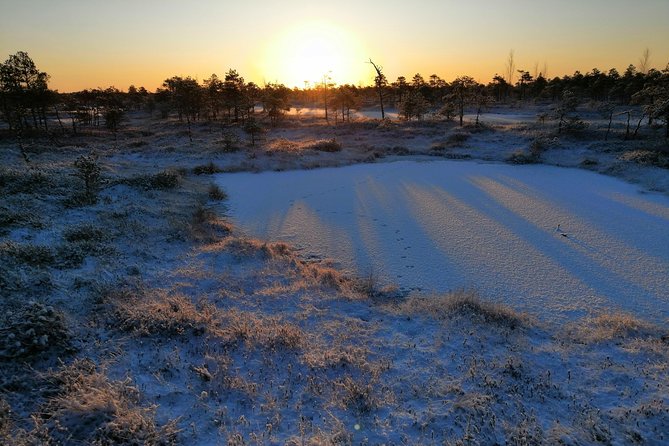 Sunrise at Kemeri National park + Jurmala - Dzintari Forest Park and its viewing tower