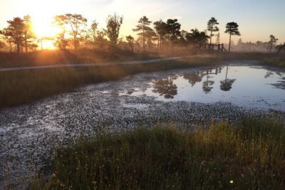 Sunrise at Kemeri National Park – Small Group