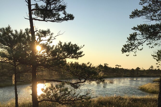 Sunrise at Kemeri National Park - Small Group - Who will enjoy this Kemeri morning most