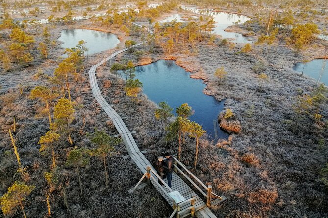 Sunrise at Kemeri National Park - Small Group - Final verdict: book it for the quiet, not the sleep