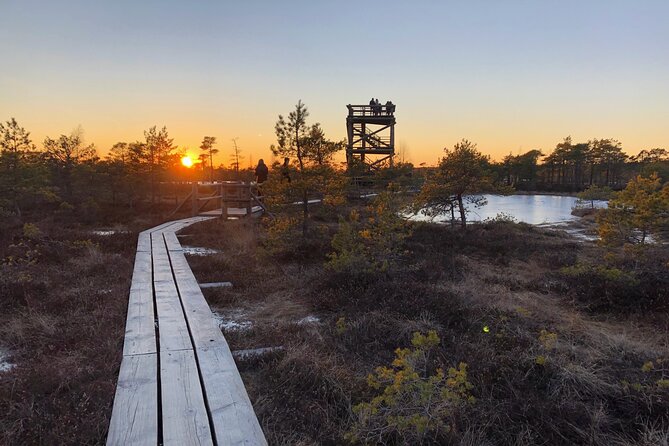 Sunset at Kemeri National Park - Key points to know before booking