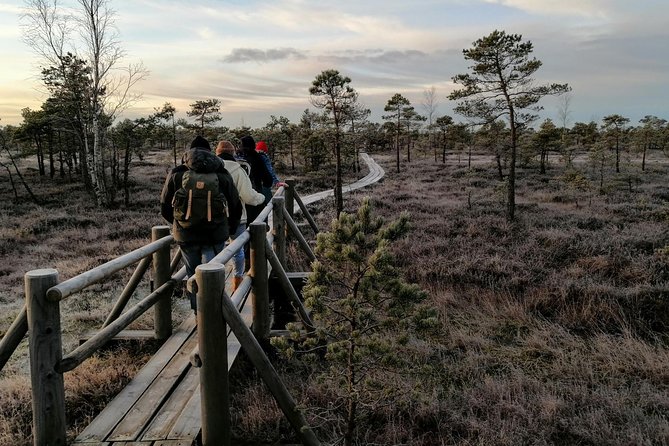 Sunset at Kemeri National Park - Why Kemeri makes a good evening trip from Riga