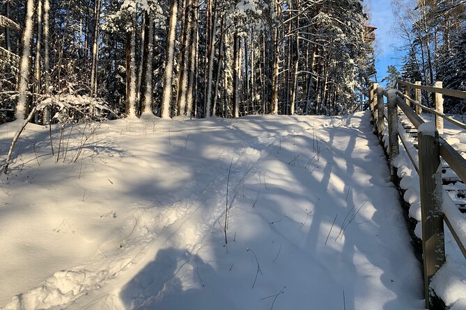 Ultimate Husky dog sledding experience in Latvia - Private tour from Riga - Price, timing, and what you receive